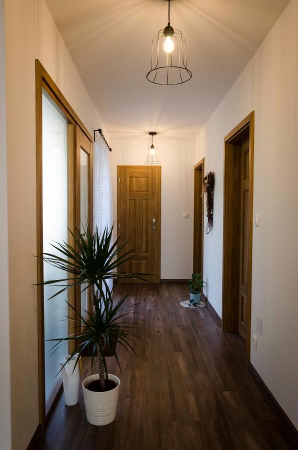 Apartmany U Kotacku Veverske Kninice Экстерьер фото